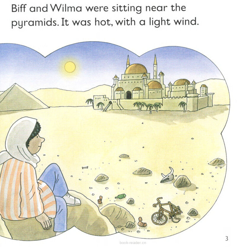 L5 The Missing Crystal绘本故事第5页