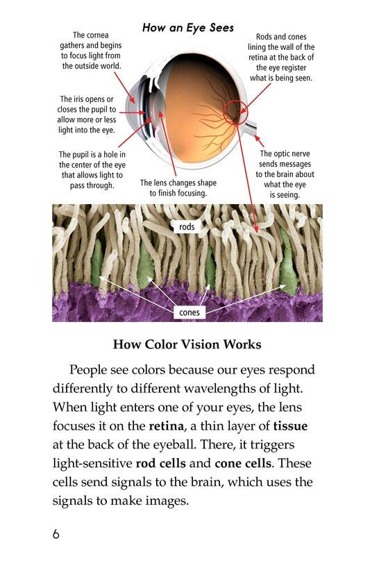 Color Blindness绘本故事第5页