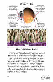 Color Blindness绘本故事第5页