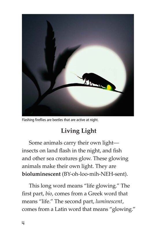 Glow in the Dark Animals绘本故事第3页