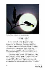 Glow in the Dark Animals绘本故事第3页