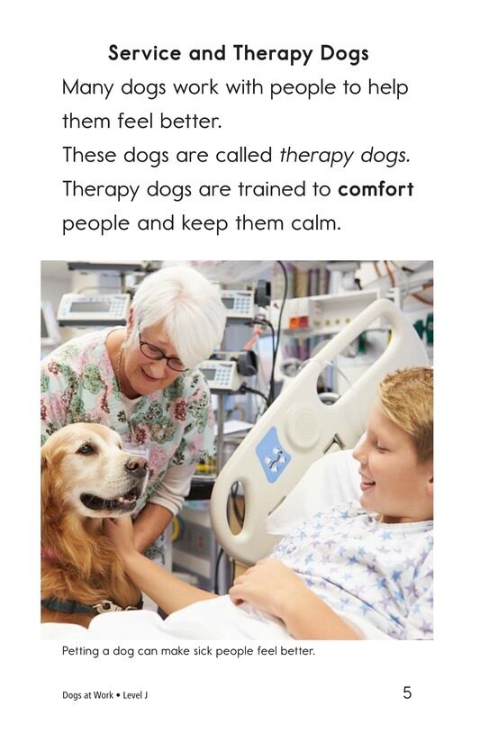 Dogs at Work绘本故事第4页