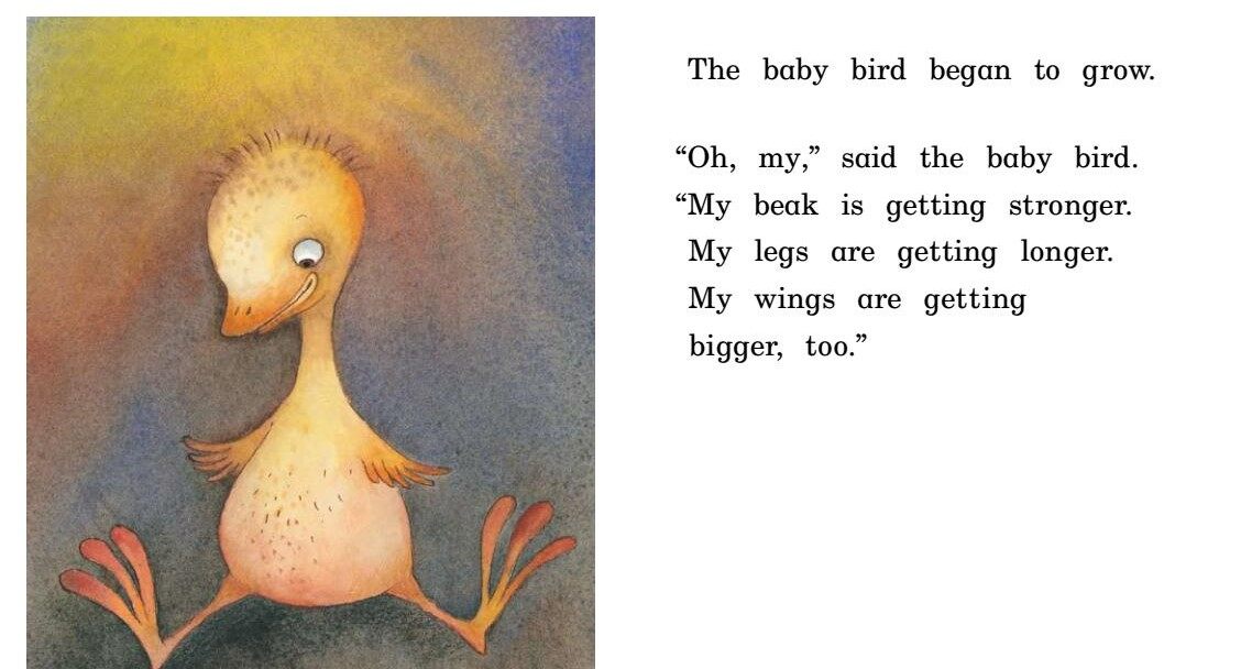 Baby Bird绘本故事第4页