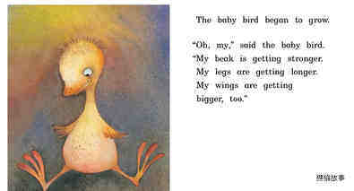 Baby Bird绘本故事第4页