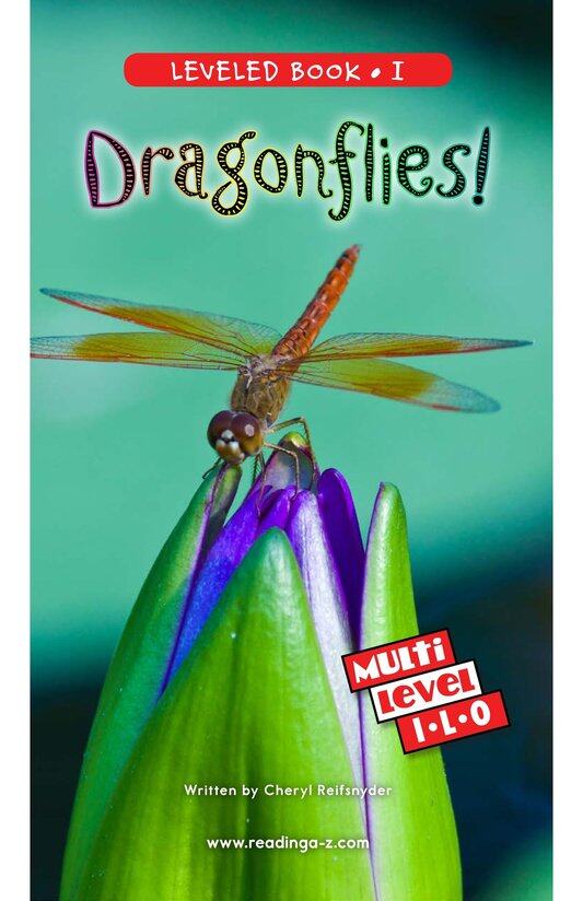 Dragonflies!绘本故事第2页