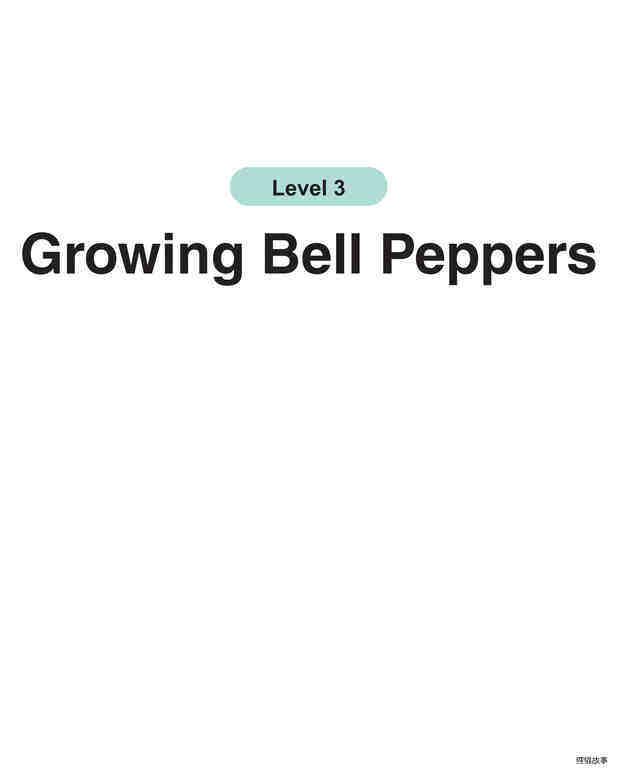 Growing Bell Peppers