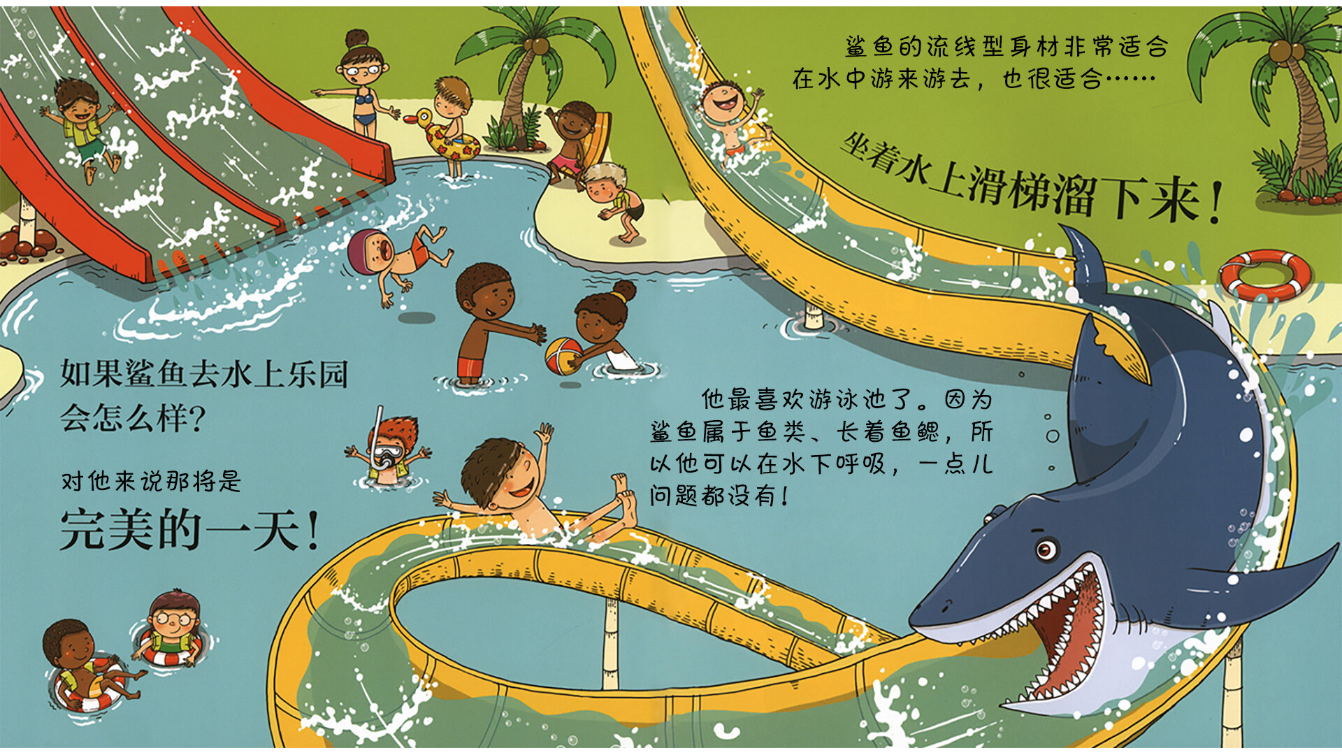 鲨鱼会做体操吗？绘本故事第4页