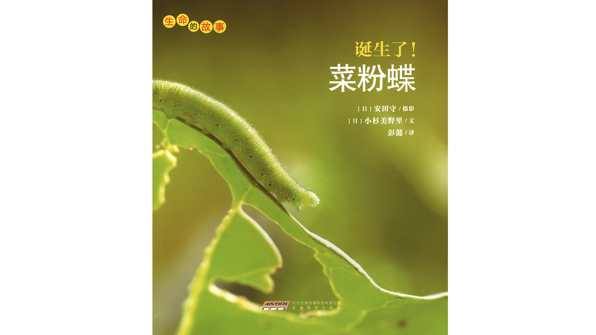 诞生了！菜粉蝶绘本故事第2页