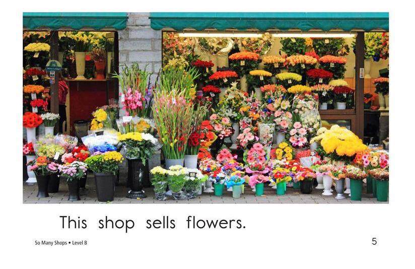 So Many Shops绘本故事第5页