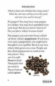 Pepper The King of Spices绘本故事第3页