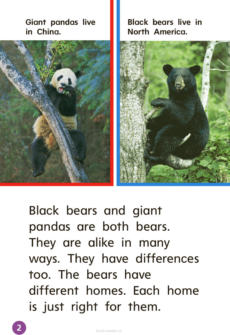 GK Beyond U07W1 Two Kinds of Bears绘本故事第3页