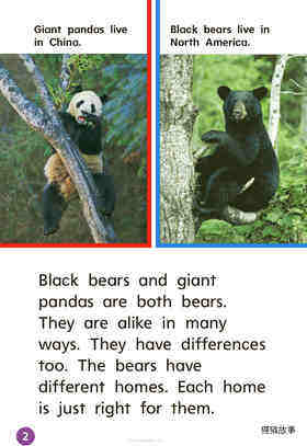 GK Beyond U07W1 Two Kinds of Bears绘本故事第3页