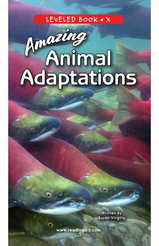 Amazing Animal Adaptations绘本故事第2页