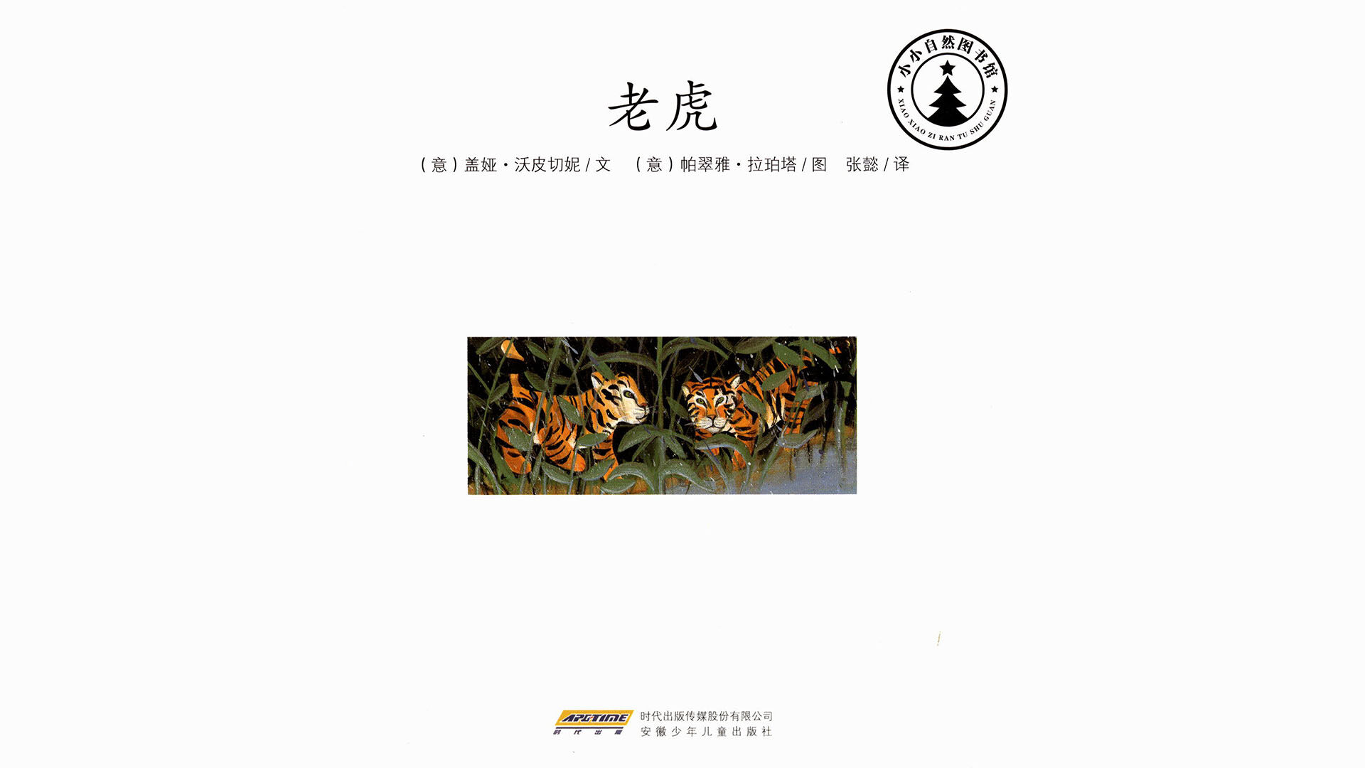 老虎   绘本故事第2页