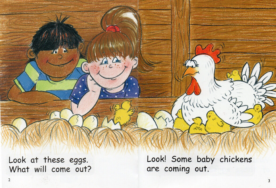 hatching eggs绘本故事第3页