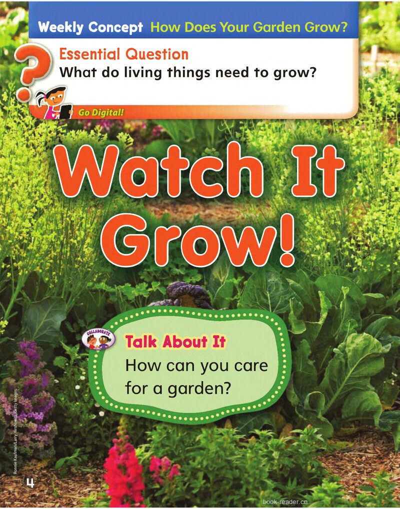 GK Unit 5绘本故事第3页