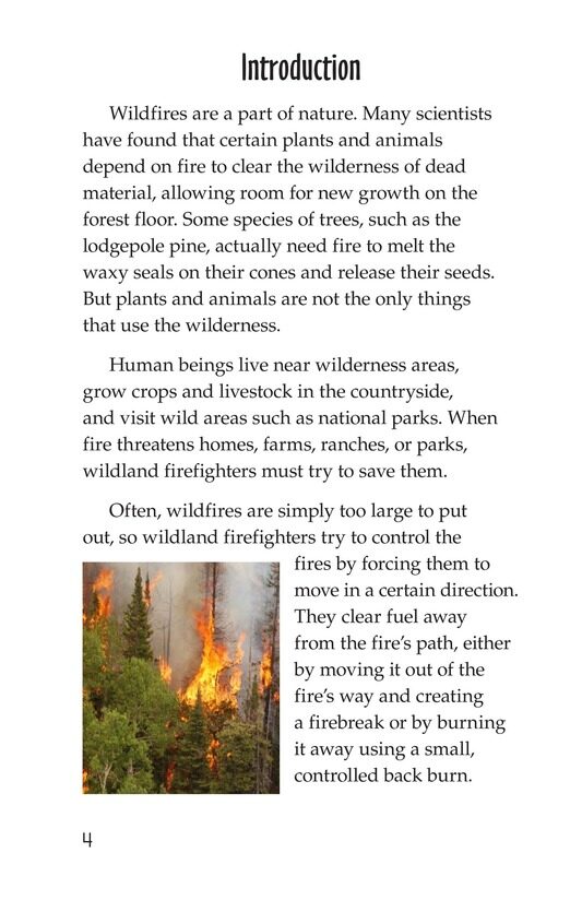 The Firefighter绘本故事第3页