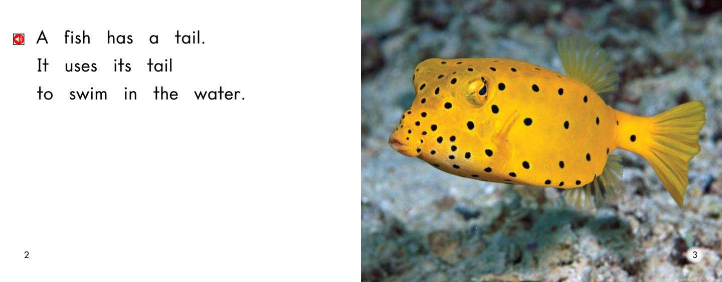 Tails绘本故事第3页