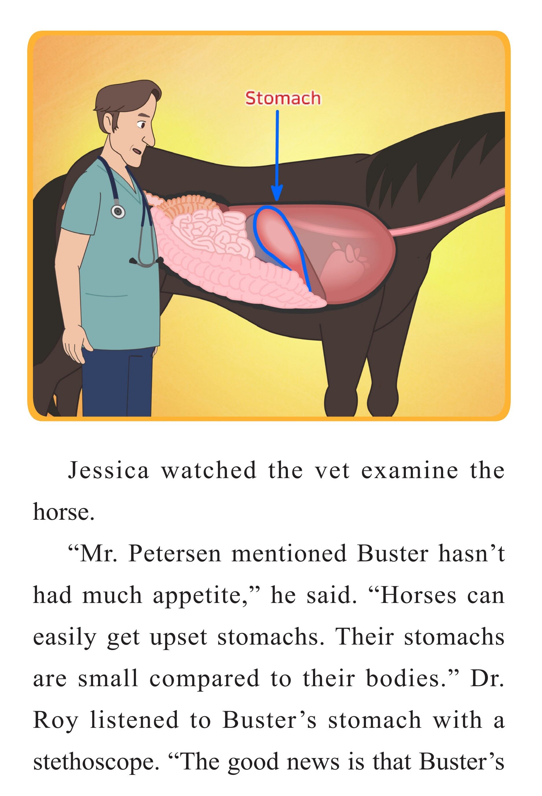 The Horse Vet绘本故事第5页