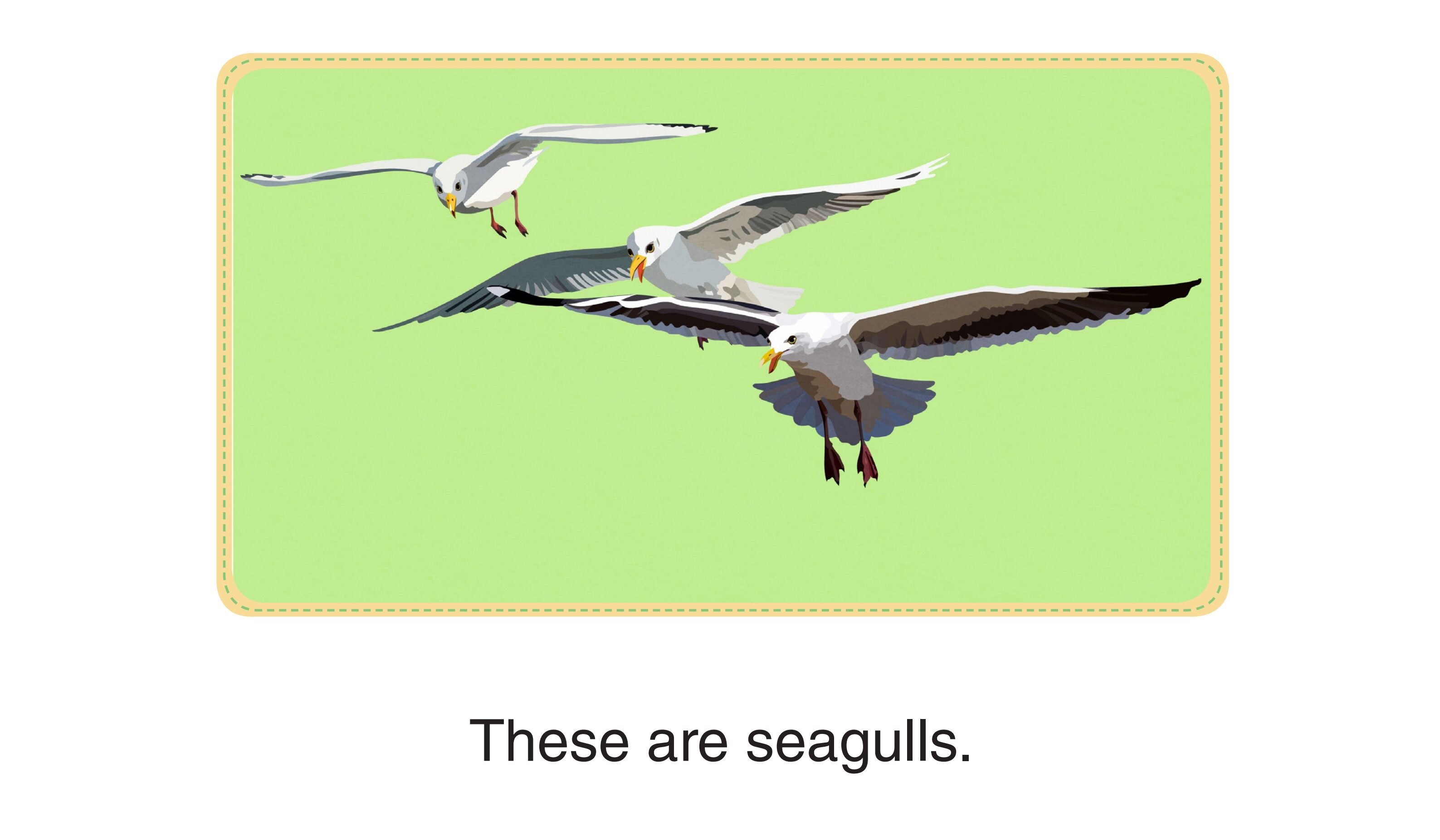 Who Am I  - This Is My Net绘本故事第4页