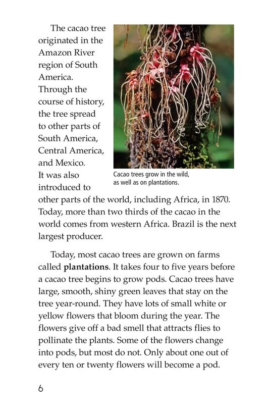 All About Chocolate绘本故事第5页