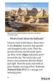 Badlands National Park绘本故事第3页