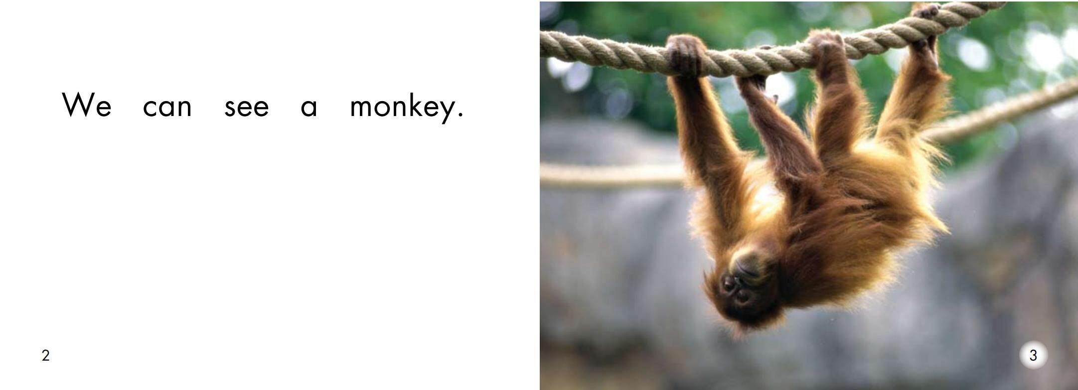 At the zoo绘本故事第3页