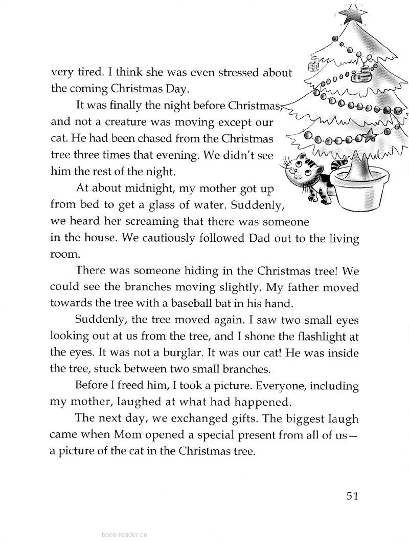The Cat and the Christmas Tree绘本故事第3页