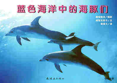 亲子绘本 蓝色海洋中的海豚们