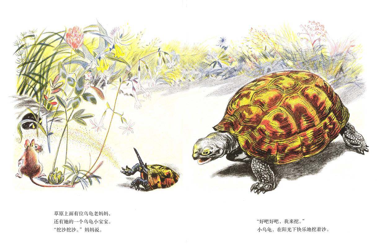 在草原上绘本故事第3页