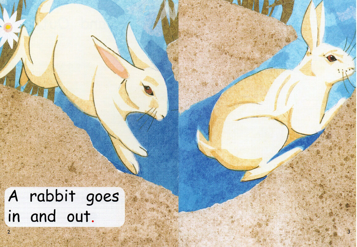 in and out绘本故事第3页