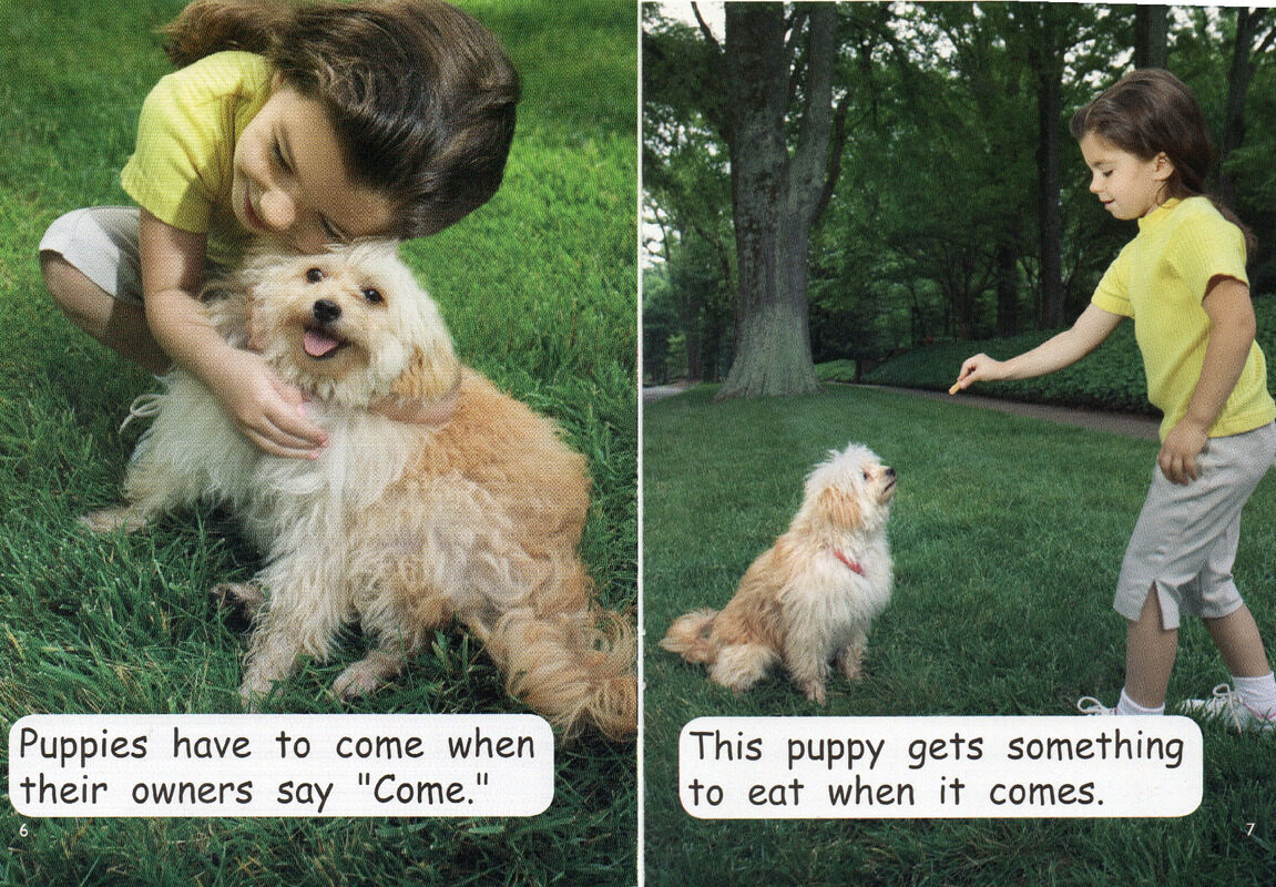 puppy school绘本故事第5页