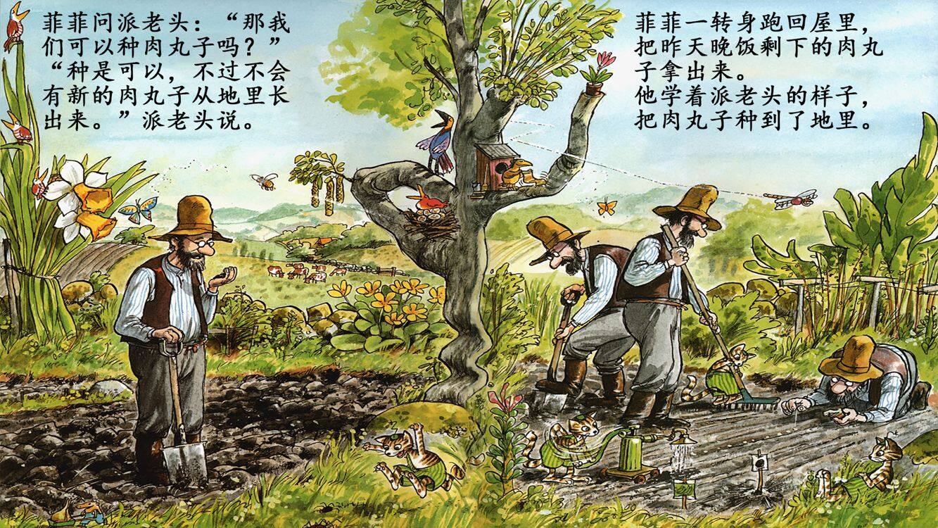 菲菲要种肉丸子绘本故事第5页