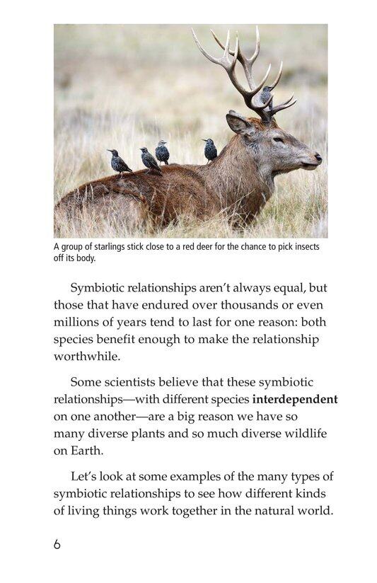 Symbiotic Wildlife绘本故事第5页