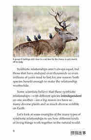 Symbiotic Wildlife绘本故事第5页