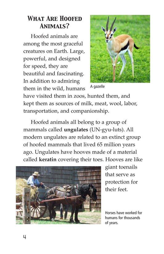 Hoofed Animals绘本故事第3页