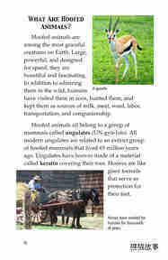 Hoofed Animals绘本故事第3页