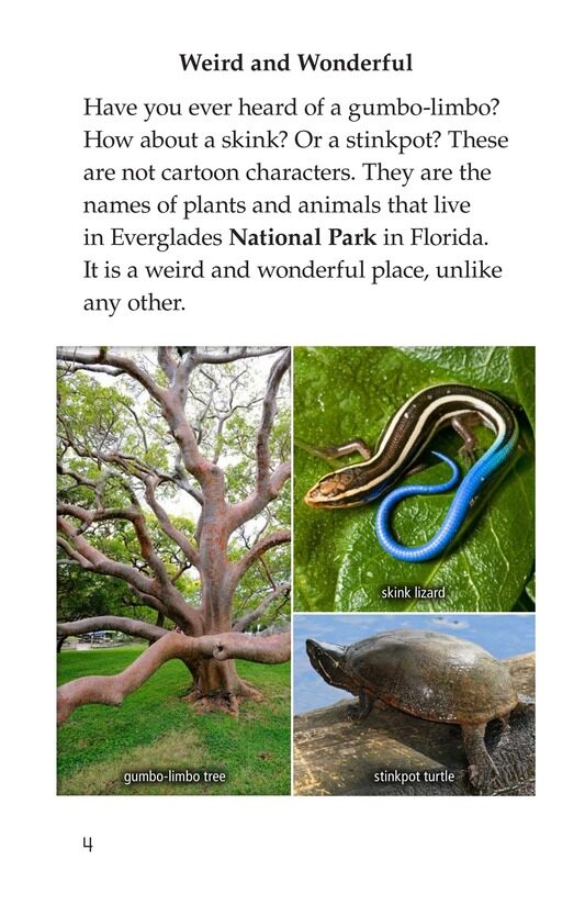 The Everglades绘本故事第3页