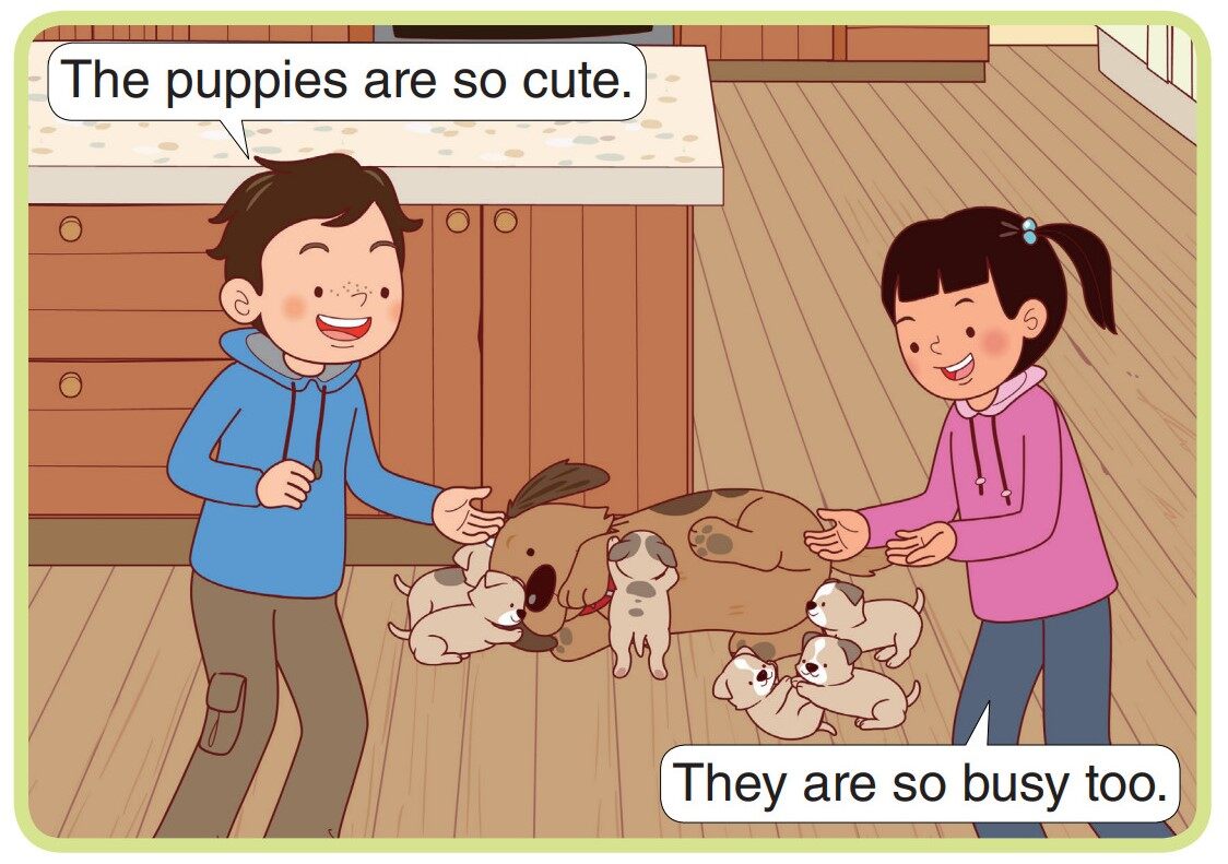 At the End of the Day绘本故事第3页