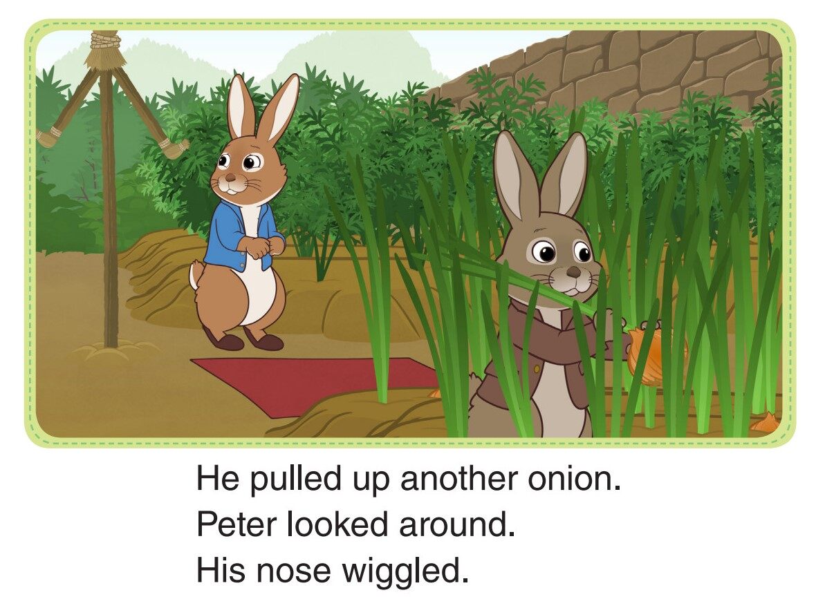 A Walk in the Garden绘本故事第4页