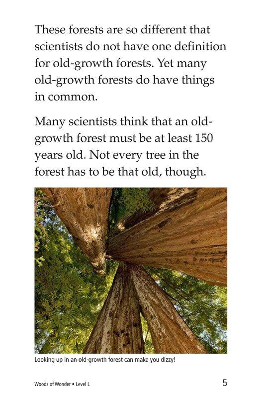 Woods of Wonder绘本故事第4页