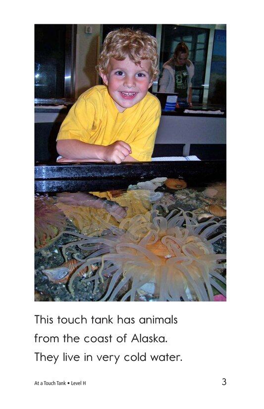 At a Touch Tank绘本故事第3页