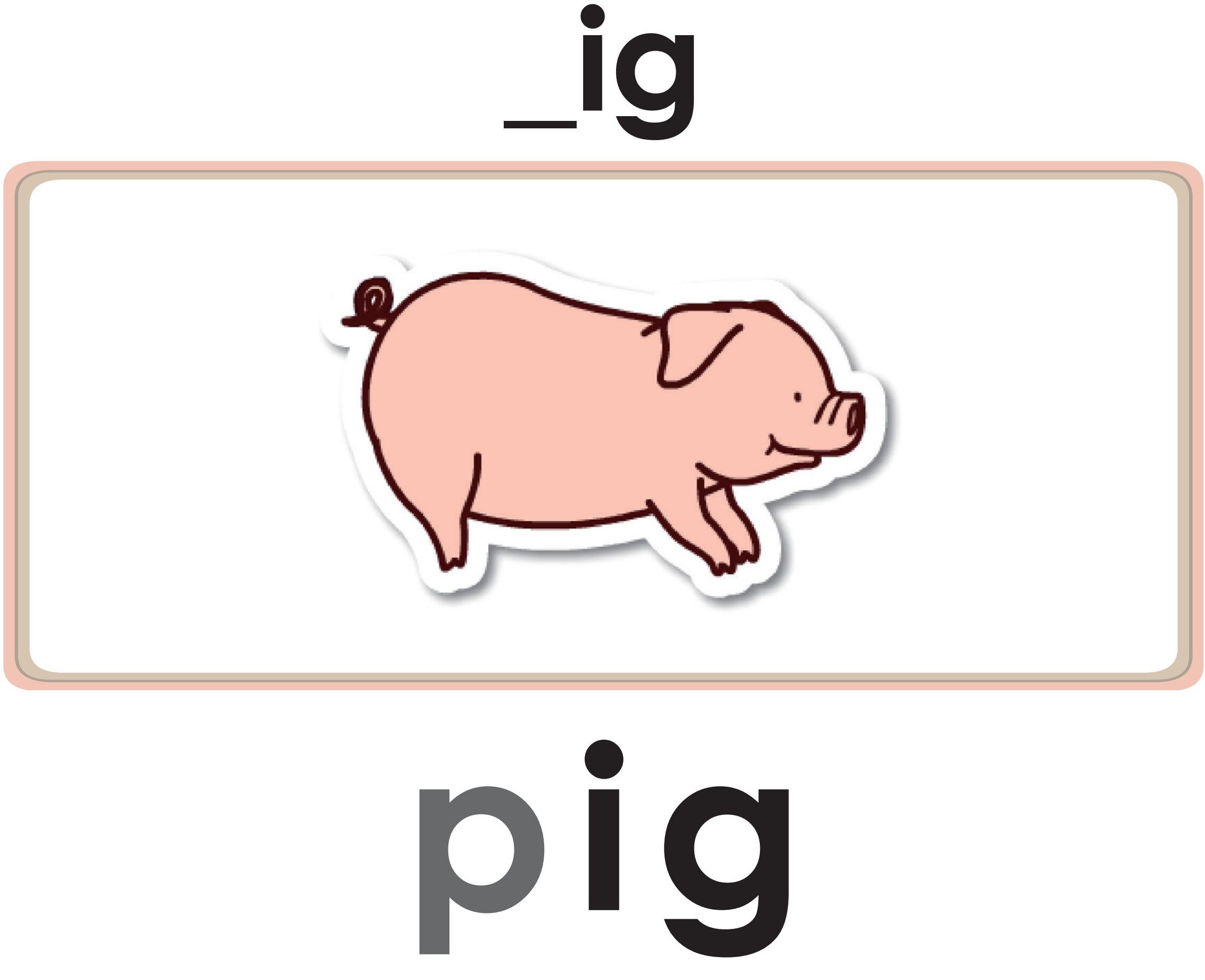 Pig in a Wig绘本故事第3页