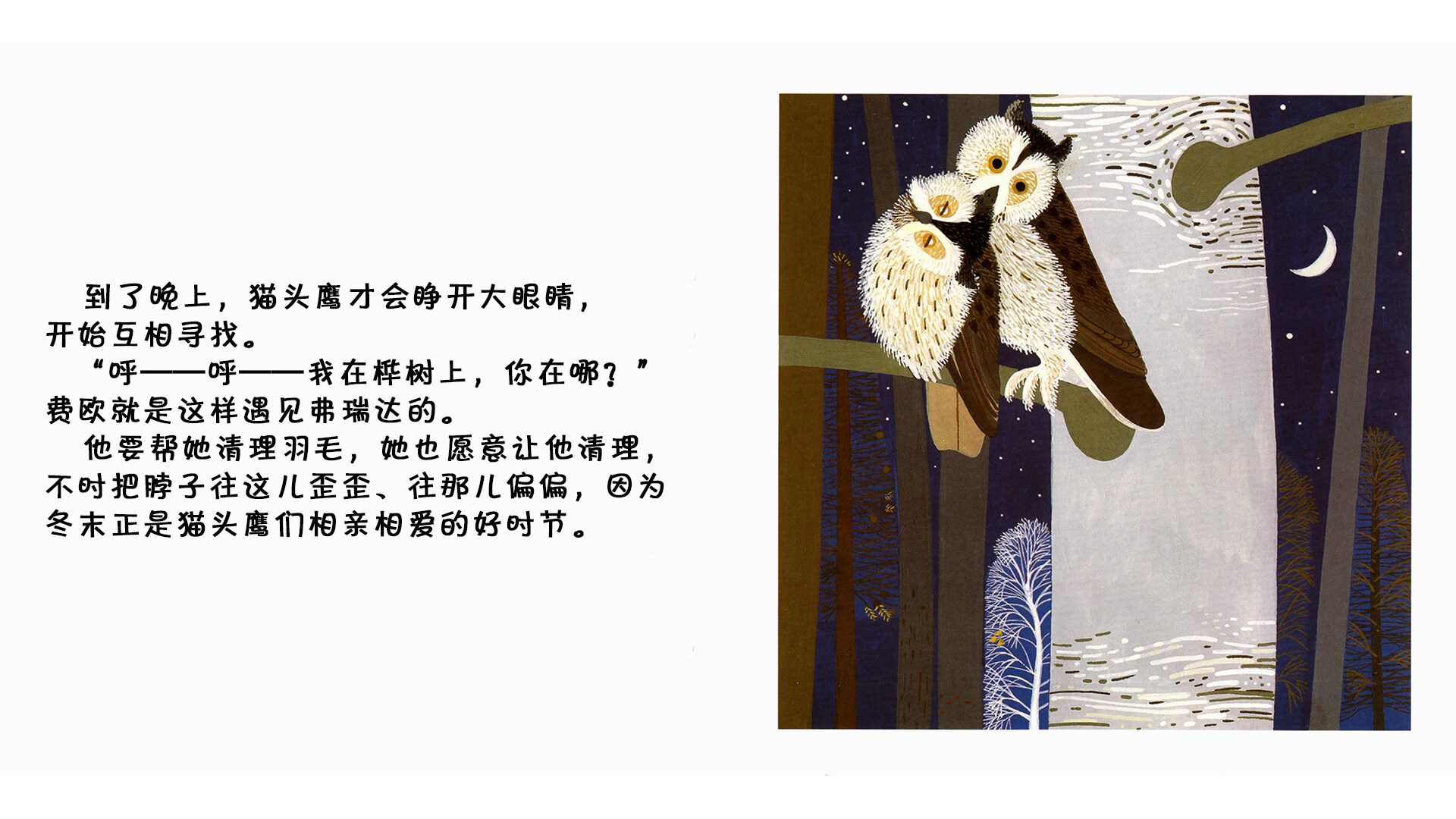 猫头鹰绘本故事第3页