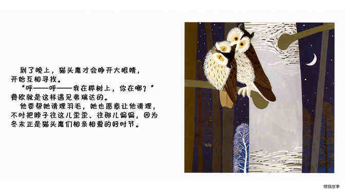 猫头鹰绘本故事第3页