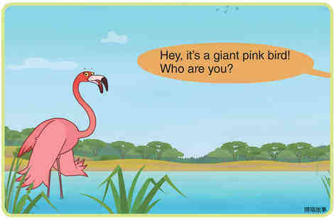 Flamingo绘本故事第2页