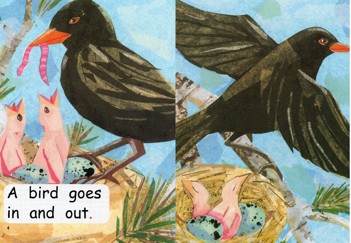 in and out绘本故事第4页