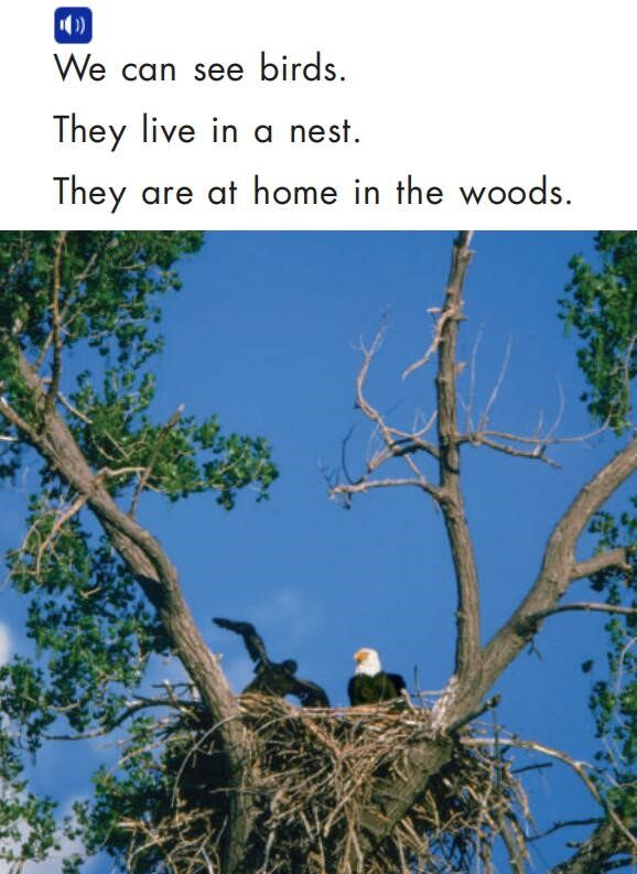 Will We See Animals绘本故事第4页