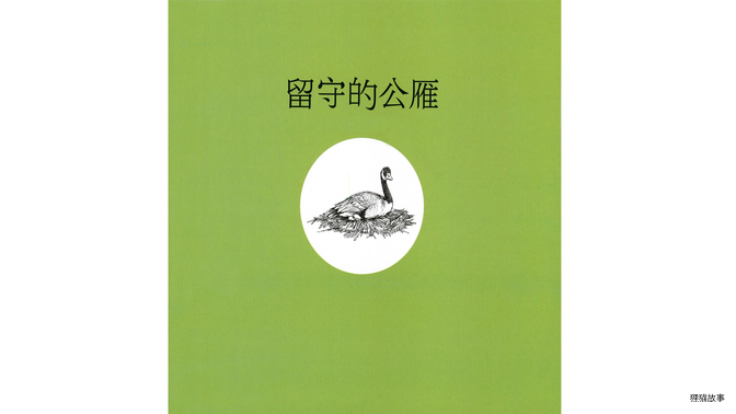 留守的公雁绘本故事第3页