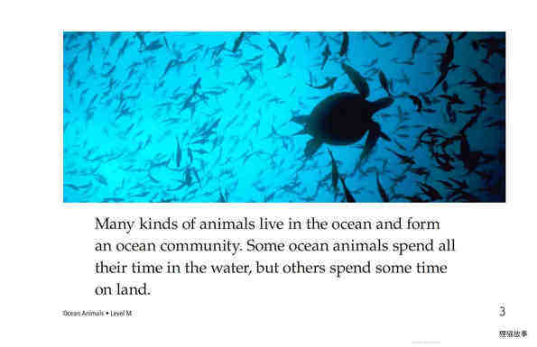 Ocean Animals绘本故事第3页